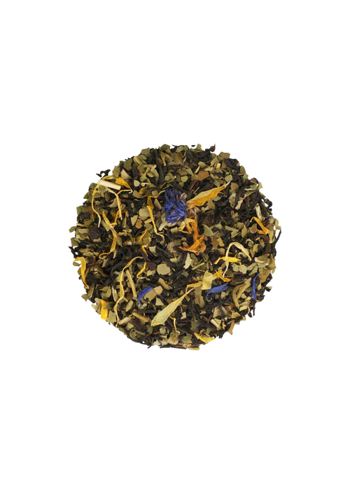 DEBOUT BELLA ! 💛 Thé noir citron, gingembre & maté BIO