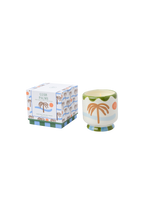 Lush Palms | Bougie Paddywax